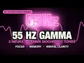 Peak Focus 55 Hz Gamma 55Hz Gamma Isochronic Tones Peak Focus Music 2 Hours