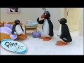 Download Lagu Pingu And The Doctor! @Pingu    | 1 Hour | Cartoons for Kids