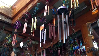 What 1000 Wind Chimes Sound Like 