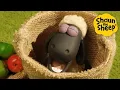 Download Lagu Farm Food Fun 🐑 Shaun the Sheep 🐑  - Cartoons for Kids 🐑 Full Episodes Compilation [1 hour]
