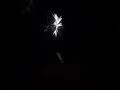 Amazing backyard grand finale with 150 mortars with 205 shot phantom fireworks phandemonium