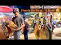 Download Lagu BHOOLA OR LADU DONO KO BAZAAR LE GAYE 😍#vlogsbyhaseeb
