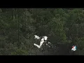2 die after airplane crashes into wooded area near St Augustine airport