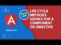 Angular V14 Complete Life Cycle Hooks Methods for the Component or Directive - Angular