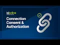 Remote connection consent and authorization ISL Online