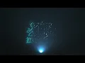 Download Lagu Lets meet under the Starry Sky ! Say Hello to your Wealth Multiplier.