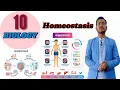 The HOMEOSTASIS HACK That Will Change Your Life forever