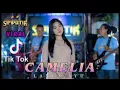 Download Lagu CAMELIA - Layla Ayu Kdi (viral tiktok)