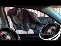 B2 Rampage 8 Subwoofers Dropping Lows B2audio