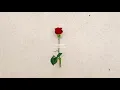 tonun - Lonely Lonely day (Lyrics)