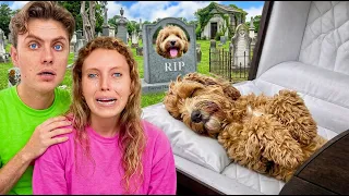 I Can’t Believe THIS happened to Her DOG...