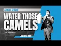 SUNDAY SERVICE Jul 12th 2026 - Water Those Camels
