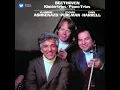 Piano Trio No. 3 in C Minor, Op. 1 No. 3: IV. Finale. Prestissimo