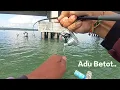 Download Lagu Ikan Predator Ngamuk di bawah sini.. !! 