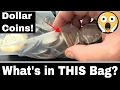 Searching a Bag of Ike Dollar Coins from the Bank - Silver Found