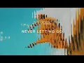 Alok, Gryffin & Julia Church – Never Letting Go (Official Visualizer)