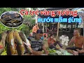 Download Lagu Hàng khủng \