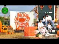 Jack s Pumpkin Pop up in Chicago Corn Maze Axe Throwing MORE