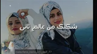والله شكلي حبيتك ياقلبي لك يخرب بيتك   ام سيف ونانو دندنها