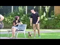 Picking Up Girls With a French Bulldog