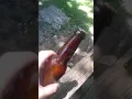 Duraglas Brown Bottle