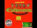 Grupo Cañaveral - Echarme Al Olvido (Cover Audio)
