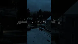 ومن كفر فلا يحزنك كفره ادريس ابكر 