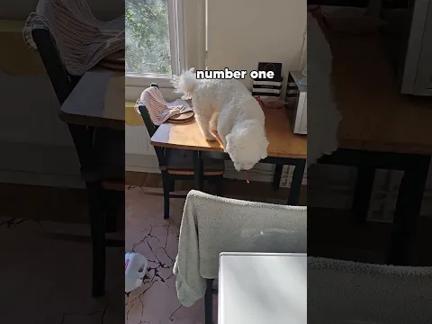 He's Just Investigating, Nothing To See Here