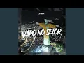 Download Lagu VAPO NO SETOR