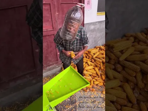 خوذة من البلاستيك لحماية الوجه أثناء درس الذرة 🌽 سلامة ذكية