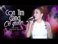 Download Lagu CON TIM ĐANG CỐ QUÊN - PHƯƠNG PHƯƠNG THẢO live at #Lululola