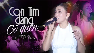 Con tim đang cố quên