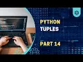 Introduction to python tuples in Hindi Python tutorial series for beginner P14 2024