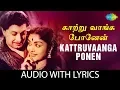 Download Lagu KAATRUVAANGA PONEN Song with lyrics | M.G.Ramachandran | T.M.Soundararajan | M.S.Viswanathan | Vaali