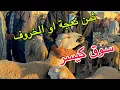 Download Lagu مباشرة من سوق كيسر مع ثمن النعجة او الخروف 🐏🐏🐏