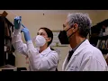 UCLA Neurology Residency Mentorship