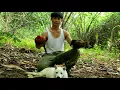 Download Lagu Trapping wild chickens, one lucky day, CEO left the city for the forest