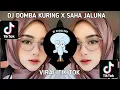 Download Lagu DJ DOMBA KURING X SAHA JALUNA VIRAL TIK TOK