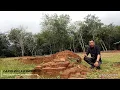 Download Lagu KERAJAAN TERTUA DI RANAH MINANG | CANDI DI SUMATERA BARAT PADANG ROCO DHARMASRAYA
