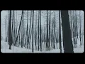 Peter Gregson – Cluster (Official Music Video)