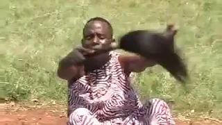 onyi papa jey daudi jamigori original