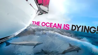 Our Ocean. So What’s going on down there?