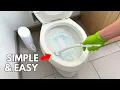 5 Easy Bathroom Cleaning Tips College Edition