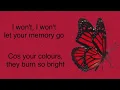 Download Lagu The Wanted - Gold Forever (Lyrics)