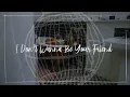 Download Lagu Rita Ora - I Don't Wanna Be Your Friend (Official Audio)