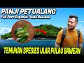 Lagu PANJI TEMUKAN SUNGAI ULAR DI PULAU BAWEAN‼️ EXPEDISI BERAKHIR DISINI