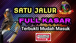 masteran satu jalur full kasar terbukti mudah masuk