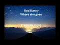 Bad Bunny - Where she goes [1 HOUR LOOP]