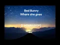 Download Lagu Bad Bunny - Where she goes [1 HOUR LOOP]