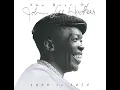 The Motor City Is Burning - John Lee Hooker